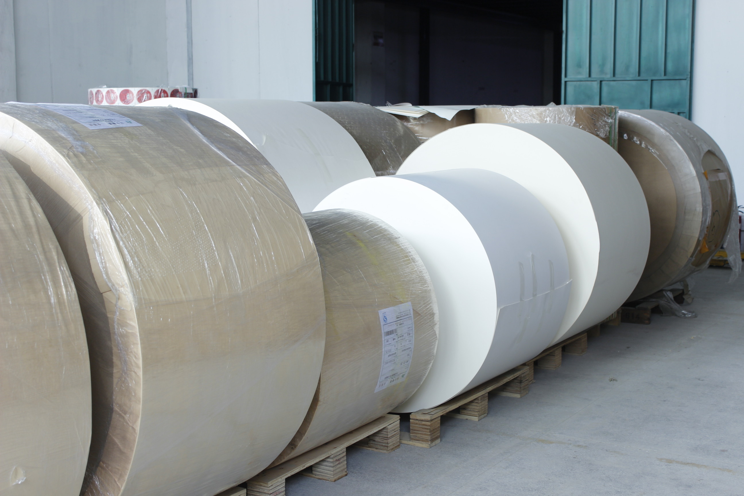 Porcellana Guangzhou Victory Paper Products Co., Ltd. Profilo Aziendale
