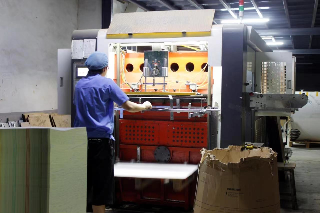 Porcellana Guangzhou Victory Paper Products Co., Ltd. Profilo Aziendale