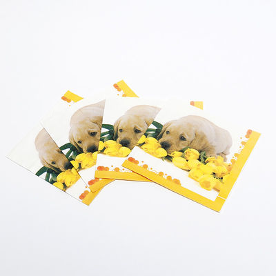Servizi stampati di carta personalizzati Servizi da cucina da cocktail Servizi da cena 1/4 1/8 N